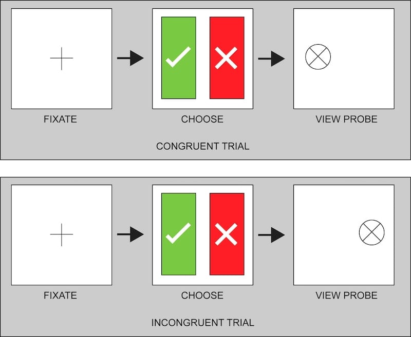 congruent trial and incongruent trial illustration